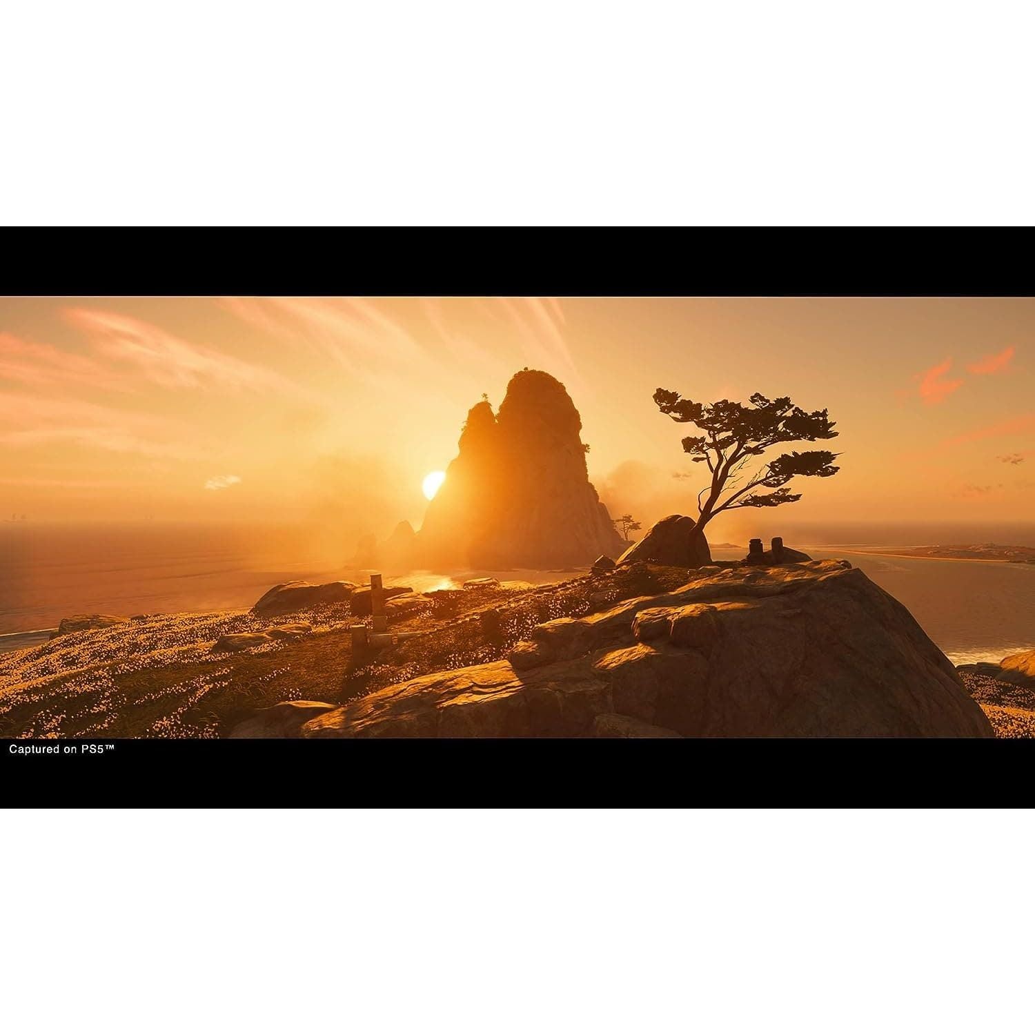 Buy Sony,Ghost of Tsushima: Director’s Cut (PS5) - Gadcet UK | UK | London | Scotland | Wales| Ireland | Near Me | Cheap | Pay In 3 | Video Game Software